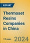 Thermoset Resins Companies in China - Product Thumbnail Image