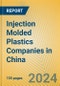 Injection Molded Plastics Companies in China - Product Thumbnail Image