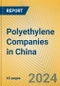 Polyethylene Companies in China - Product Thumbnail Image