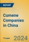 Cumene Companies in China - Product Thumbnail Image