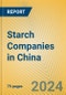 Starch Companies in China - Product Thumbnail Image