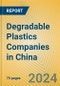 Degradable Plastics Companies in China - Product Image