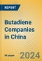 Butadiene Companies in China - Product Thumbnail Image