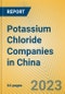 Potassium Chloride Companies in China - Product Thumbnail Image