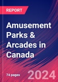 Amusement Parks & Arcades in Canada - Market Research Report (2014-2029)- Product Image