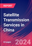 Satellite Transmission Services in China - Industry Market Research Report- Product Image