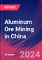 Aluminum Ore Mining in China - Industry Market Research Report - Product Image