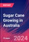 Sugar Cane Growing in Australia - Industry Market Research Report - Product Thumbnail Image