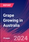 Grape Growing in Australia - Industry Market Research Report - Product Thumbnail Image