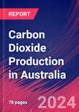 Carbon Dioxide Production in Australia - Market Research Report (2014-2029)- Product Image