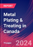 Metal Plating & Treating in Canada - Market Size, Industry Analysis, Trends and Forecasts (2024-2029)- Product Image