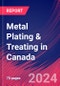 Metal Plating & Treating in Canada - Market Size, Industry Analysis, Trends and Forecasts (2024-2029) - Product Thumbnail Image