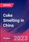 Coke Smelting in China - Industry Market Research Report - Product Thumbnail Image