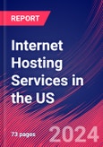 Internet Hosting Services in the US - Market Size, Industry Analysis, Trends and Forecasts (2024-2029)- Product Image