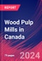 Wood Pulp Mills in Canada - Industry Market Research Report - Product Image