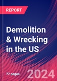 Demolition & Wrecking in the US - Market Research Report (2014-2029)- Product Image