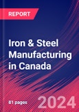 Iron & Steel Manufacturing in Canada - Industry Market Research Report- Product Image