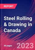 Steel Rolling & Drawing in Canada - Industry Market Research Report- Product Image