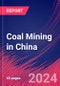 Coal Mining in China - Industry Market Research Report - Product Image