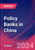 Policy Banks in China - Industry Market Research Report- Product Image