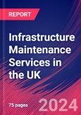 Infrastructure Maintenance Services in the UK - Market Research Report (2014-2029)- Product Image