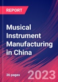 Musical Instrument Manufacturing in China - Industry Market Research Report- Product Image