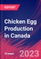 Chicken Egg Production in Canada - Industry Market Research Report - Product Thumbnail Image