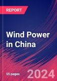 Wind Power in China - Industry Market Research Report- Product Image