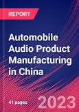 Automobile Audio Product Manufacturing in China - Industry Market Research Report- Product Image