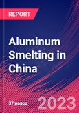 Aluminum Smelting in China - Industry Market Research Report- Product Image