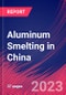 Aluminum Smelting in China - Industry Market Research Report - Product Thumbnail Image