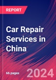 Car Repair Services in China - Industry Market Research Report- Product Image