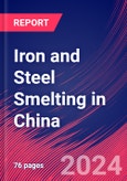 Iron and Steel Smelting in China - Industry Market Research Report- Product Image