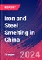 Iron and Steel Smelting in China - Industry Market Research Report - Product Thumbnail Image