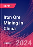 Iron Ore Mining in China - Industry Market Research Report- Product Image