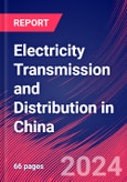 Electricity Transmission and Distribution in China - Industry Market Research Report- Product Image