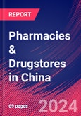 Pharmacies & Drugstores in China - Industry Market Research Report- Product Image