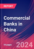 Commercial Banks in China - Industry Market Research Report- Product Image