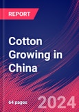 Cotton Growing in China - Industry Market Research Report- Product Image