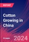 Cotton Growing in China - Industry Market Research Report - Product Thumbnail Image