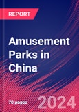 Amusement Parks in China - Industry Market Research Report- Product Image