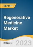 Regenerative Medicine Market Size, Share & Trends Analysis Report by Product (Primary Cell-based Therapeutics, Stem Cell & Progenitor Cell-based Therapeutics), Therapeutic Category (Dermatology, Musculoskeletal), Region, and Segment Forecasts, 2024-2030- Product Image