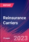 Reinsurance Carriers - Global Market Research Report - Product Thumbnail Image