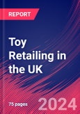 Toy Retailing in the UK - Industry Market Research Report- Product Image