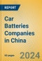 Car Batteries Companies in China - Product Image