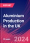 Aluminium Production in the UK - Industry Market Research Report - Product Thumbnail Image