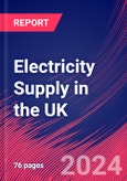 Electricity Supply in the UK - Industry Market Research Report- Product Image