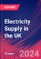 Electricity Supply in the UK - Industry Market Research Report - Product Image