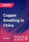 Copper Smelting in China - Industry Market Research Report - Product Image