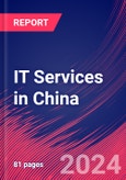 IT Services in China - Industry Market Research Report- Product Image